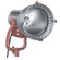 Mole-Richardson DigiMole Par 400 Watt HM...: Picture 1 thumbnail