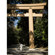 Mitakon Zhongyi Speedmaster 65mm f/1.4: Picture 13 thumbnail