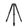 Matterport Pro Series Tripod: Picture 1 thumbnail