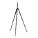 Matterport Pro Series Tripod: Picture 3 thumbnail
