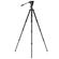 MeVIDEO GlobeTrotter: Picture 6 thumbnail