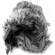 Movo Photo WS-G7 Foam & Furry Indoor/Out...: Picture 6 thumbnail