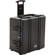 MYT Works Carrying Case: Picture 2 thumbnail