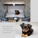 MyStudio Seamless Background Paper: Picture 2 thumbnail