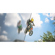 NewBlueFX Stabilizer Video Software Plug...: Picture 2 thumbnail