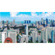 NewBlueFX Stylizers 3 Cartoonr Plus Vide...: Picture 2 thumbnail