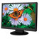 NEC ASLCD194WXM-BK 19" LCD Multimedia Desktop Monitor, 16:10 Aspect Ratio, 1000:1 Contrast Ratio, 300 cd/m2, 1440x900 Native Resolution, DVI-D/VGA: Picture 3 thumbnail