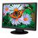 NEC ASLCD194WXM-BK 19" LCD Multimedia Desktop Monitor, 16:10 Aspect Ratio, 1000:1 Contrast Ratio, 300 cd/m2, 1440x900 Native Resolution, DVI-D/VGA: Picture 1 thumbnail