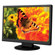 NEC ASLCD224WXM-BK 22" Widescreen LCD Monitor, 16:10 Aspect Ratio, 300cd/m2, 900:1 Contrast Ratio, 1680x1050 Native Resolution, DVI-D/VGA: Picture 3 thumbnail