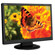 NEC ASLCD224WXM-BK 22" Widescreen LCD Monitor, 16:10 Aspect Ratio, 300cd/m2, 900:1 Contrast Ratio, 1680x1050 Native Resolution, DVI-D/VGA: Picture 2 thumbnail