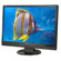 NEC AccuSync ASLCD22WMGX 22" Widescreen Multimedia Desktop Monitor, 16:10 Aspect Ratio, 2000:1 Contrast Ratio, 1680x1050 Resolution, VGA/DVI/HDMI: Picture 3 thumbnail