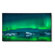 NEC C861Q-PC4: Picture 1 thumbnail