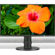 NEC MultiSync E271N: Picture 3 thumbnail