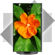 NEC MultiSync E271N: Picture 4 thumbnail