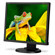 NEC MultiSync EA192M 19" Eco-Friendly Desktop Monitor, 1280x1024 Native Resolution, 5ms Response Time, Stereo Speakers: Picture 4 thumbnail