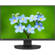 NEC EA241F: Picture 3 thumbnail