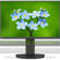 NEC EA241F: Picture 8 thumbnail