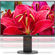 NEC EA245WMI: Picture 5 thumbnail