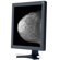 NEC 20.1" Grayscale 5-MegaPixel Diagnostic Monitor, 2048x2560 Resolution, 600:1 Contrast Ratio, 30ms Response Time: Picture 4 thumbnail