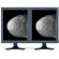 NEC Two 20.1" Grayscale 5-MegaPixel Diagnostic Monitors with Graphics Card, 2048x2560 Native Resolution, 30ms Response Time: Picture 2 thumbnail