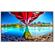 NEC ME651: Picture 1 thumbnail