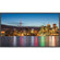 NEC P402-AVT 40" Professional-Grade Large-Screen Display with AV Inputs & Digital Tuner, 3000:1 Contrast Ratio, 1920x1080 Resolution: Picture 3 thumbnail