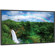 NEC P461-AVT 46" Professional-Grade Large-Screen Display with AV Inputs & Digital Tuner, 1920x1080 Resolution, 16:9 Aspect Ratio, 0.53mm Pixel Pitch: Picture 1 thumbnail