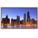 NEC P462 46" Professional-Grade Digital Signage/Content Creation Solution, 1920x1080 Resolution, 3500:1 Contrast Ratio, 8ms Response Time, HDMI/DVI-D: Picture 4 thumbnail