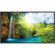 NEC P521-AVT 52" Professional-Grade Large-Screen Display with AV Inputs & Digital Tuner, 1920x1080 Resolution, 8 ms Response Time, 16:9 Aspect Ratio: Picture 2 thumbnail