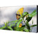 NEC UN492S-TMX4P: Picture 2 thumbnail