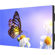 NEC MultiSync UN552V: Picture 2 thumbnail
