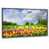 NEC X462HB: Picture 1 thumbnail