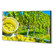 NEC X464UNV-2: Picture 5 thumbnail