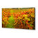 NEC X554UN: Picture 3 thumbnail