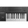 Native Instruments KOMPLETE KONTROL A25: Picture 2 thumbnail