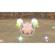 Nintendo Pokemon: Picture 5 thumbnail