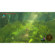 Nintendo The Legend of Zelda: Picture 4 thumbnail