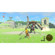 Nintendo The Legend of Zelda: Picture 5 thumbnail
