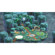 Nintendo Super Mario Bros. Wonder: Picture 2 thumbnail
