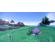 Nintendo Pokemon: Picture 6 thumbnail