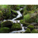 Nikon 105mm F/2.8: Picture 6 thumbnail