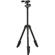 Nikon Compact Outdoor Tripod: Picture 1 thumbnail