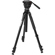 Nikon Fieldscope Tripod: Picture 1 thumbnail