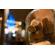 Nikon NIKKOR Z 17-28mm f/2.8: Picture 6 thumbnail