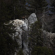 Nikon NIKKOR Z 180-600mm: Picture 12 thumbnail