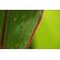 Nikon Z DX 18-140mm f/3.5-6.3: Picture 10 thumbnail