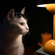 Nikon Z DX 24mm f/1.7: Picture 11 thumbnail