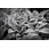 Nikon NIKKOR Z 28mm f/2.8: Picture 4 thumbnail
