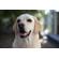 Nikon NIKKOR Z 28-75mm f/2.8: Picture 9 thumbnail