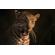 Nikon 400mm f/2.8: Picture 15 thumbnail